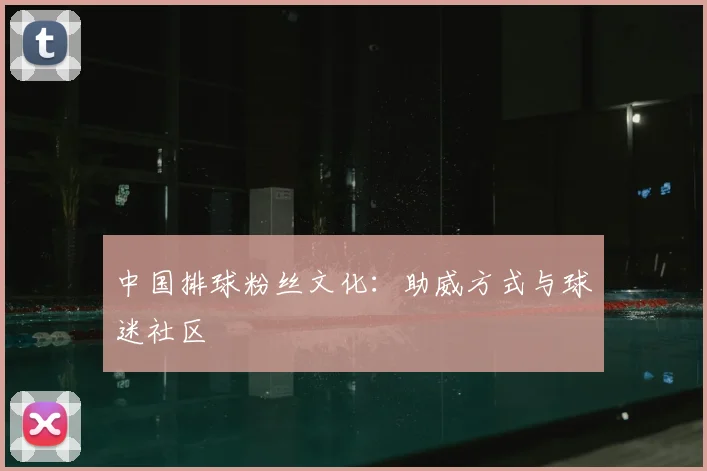 中国排球粉丝文化：助威方式与球迷社区